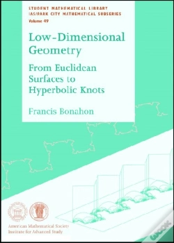 Capa do artigo Low-Dimensional Geometry