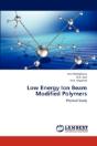 Low Energy Ion Beam Modified Polymers - Preview