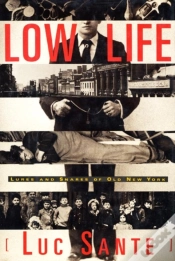 Capa do artigo Low Life