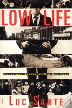 Capa do artigo Low Life