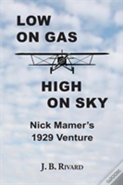 Capa do artigo Low On Gas - High On Sky