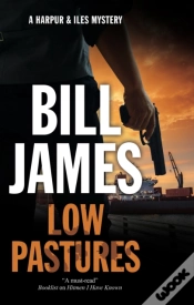 Capa do artigo Low Pastures