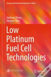 Low Platinum Fuel Cell Technologies