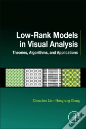 Low-Rank Models In Visual Analysis