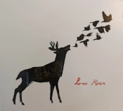 Capa do artigo Low Roar - CD