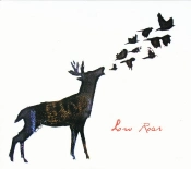 Capa do artigo Low Roar - Vinil