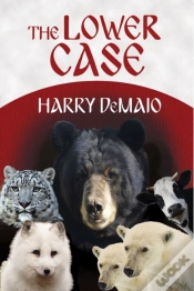 Capa do artigo Lower Case