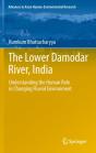 Lower Damodar River, India - Preview