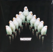 Capa do artigo LP4 - Vinil