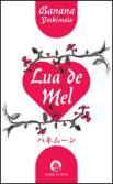 Lua-de-mel