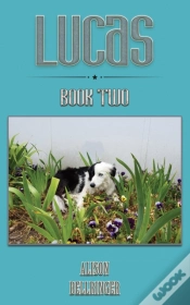 Capa do artigo Lucas