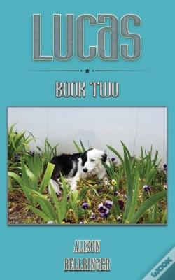 Capa do artigo Lucas