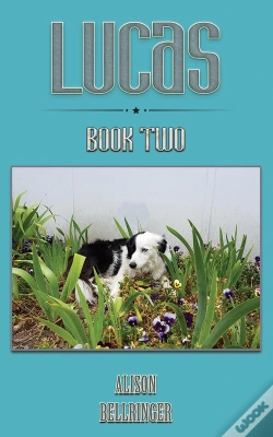 Capa do artigo Lucas