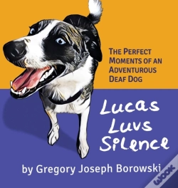 Capa do artigo Lucas Luvs Silence