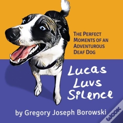 Capa do artigo Lucas Luvs Silence