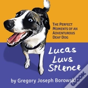 Capa do artigo Lucas Luvs Silence