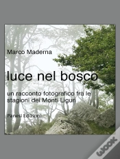 Capa do artigo Luce Nel Bosco