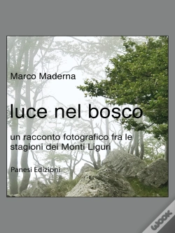 Capa do artigo Luce Nel Bosco