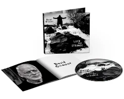 Capa do artigo Luck and Strange - CD