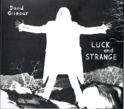 Capa do artigo Luck And Strange - CD