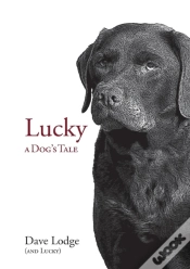 Capa do artigo Lucky