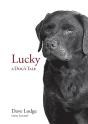 Lucky - Preview
