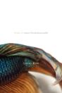 Lucky Fish - Preview