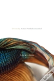 Capa do artigo Lucky Fish