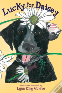 Capa do artigo Lucky For Daisey