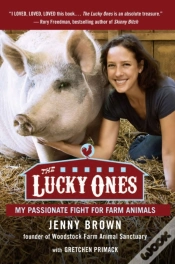 Capa do artigo Lucky Ones