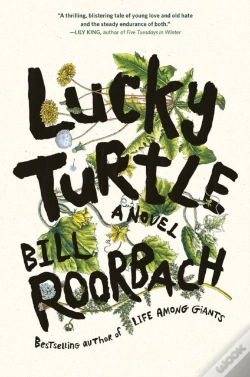 Capa do artigo Lucky Turtle