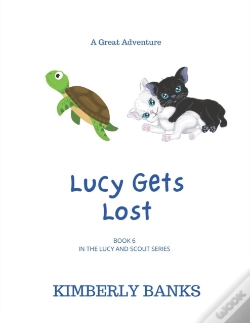 Capa do artigo Lucy Gets Lost