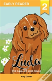 Capa do artigo Luda The Cavalier Who Could