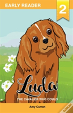 Capa do artigo Luda The Cavalier Who Could