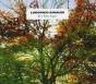 Ludovico Einaudi: In a Time Lapse - CD - Preview