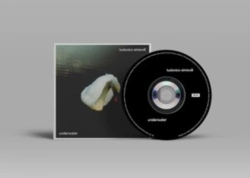 Capa do artigo Ludovico Einaudi: Underwater - CD