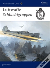 Luftwaffe Schlachtgruppen