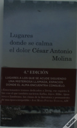 Capa do artigo Lugares Donde Se Calma El Dolor