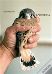 Capa do artigo Lukas Felzmann