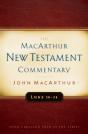 Luke 18-24 Macarthur New Testament Commentary - Preview