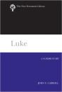 Luke - Preview
