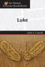 Luke (Six Themes Everyone Should Know Series) - Preview
