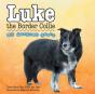 Luke The Border Collie - Preview