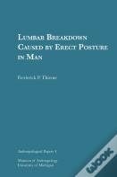 Lumbar Breakdown Caused By Erect Posture In Man