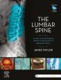 Lumbar Spine - Preview