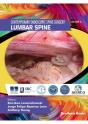 Lumbar Spine - Preview