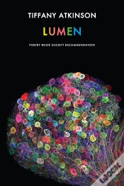 Capa do artigo Lumen