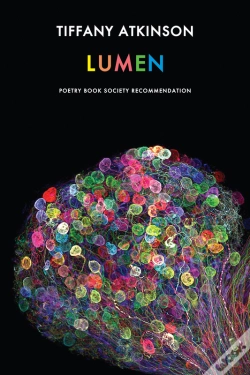 Capa do artigo Lumen