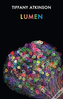 Capa do artigo Lumen