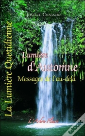 Capa do artigo Lumiere D